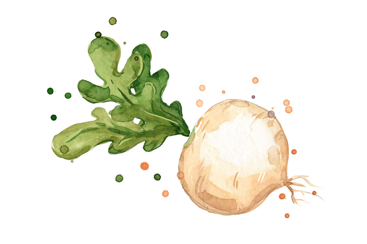 Set of white foods, watercolor, a Food Illustration by Kamenuka (Photo 4 of 4)