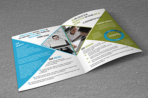 Business Brochure V789