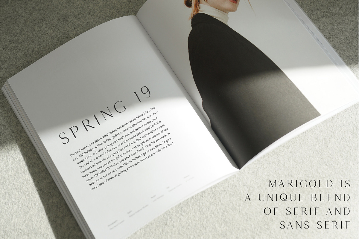The Chic & Unique Modern Font Bundle, a Sans Serif Font by Tropical Type (Photo 19 of 40)