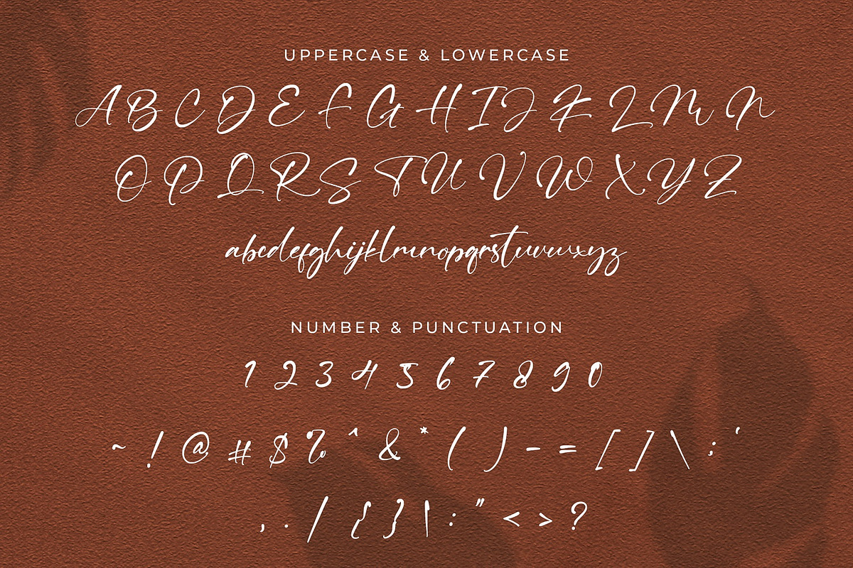 Ving Winston - Signature Font, a Script Font by StringLabs (Photo 8 of 9)