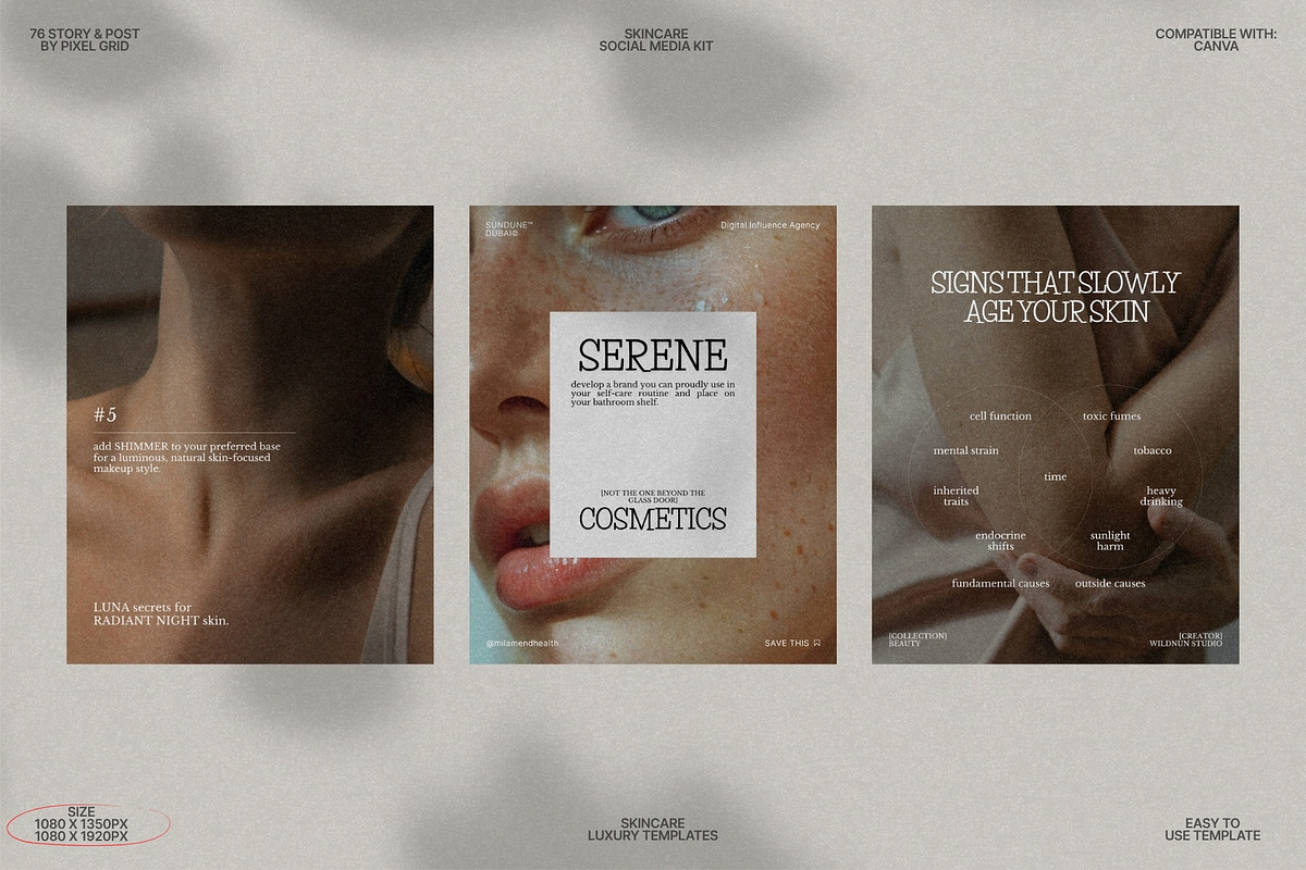 Story and Post Canva Skin Templates preview 5