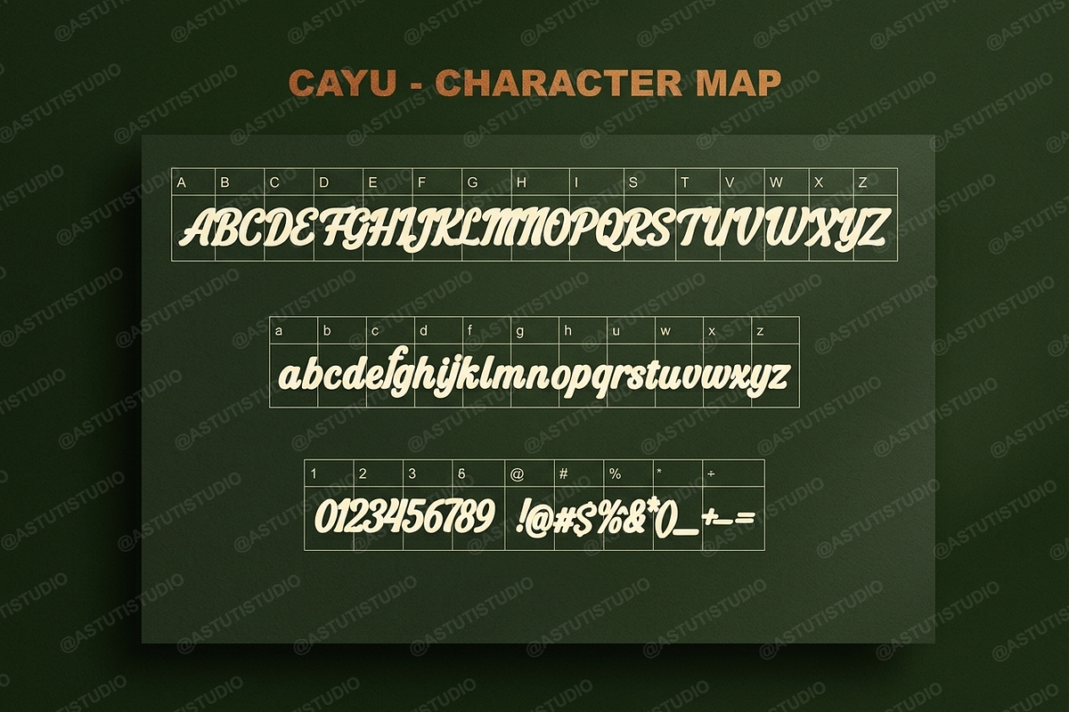 Cayu - Refined Modern Serif, a Serif Font by Astuti Studio (Photo 4 of 23)