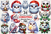 Christmas Snowy Owl Clipart, an Illustration by RobertsArt (Thumbnail 1 of 7)