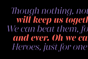 Gabriela Stencil, a Serif Font by Lechuga Type (Thumbnail 8 of 15)