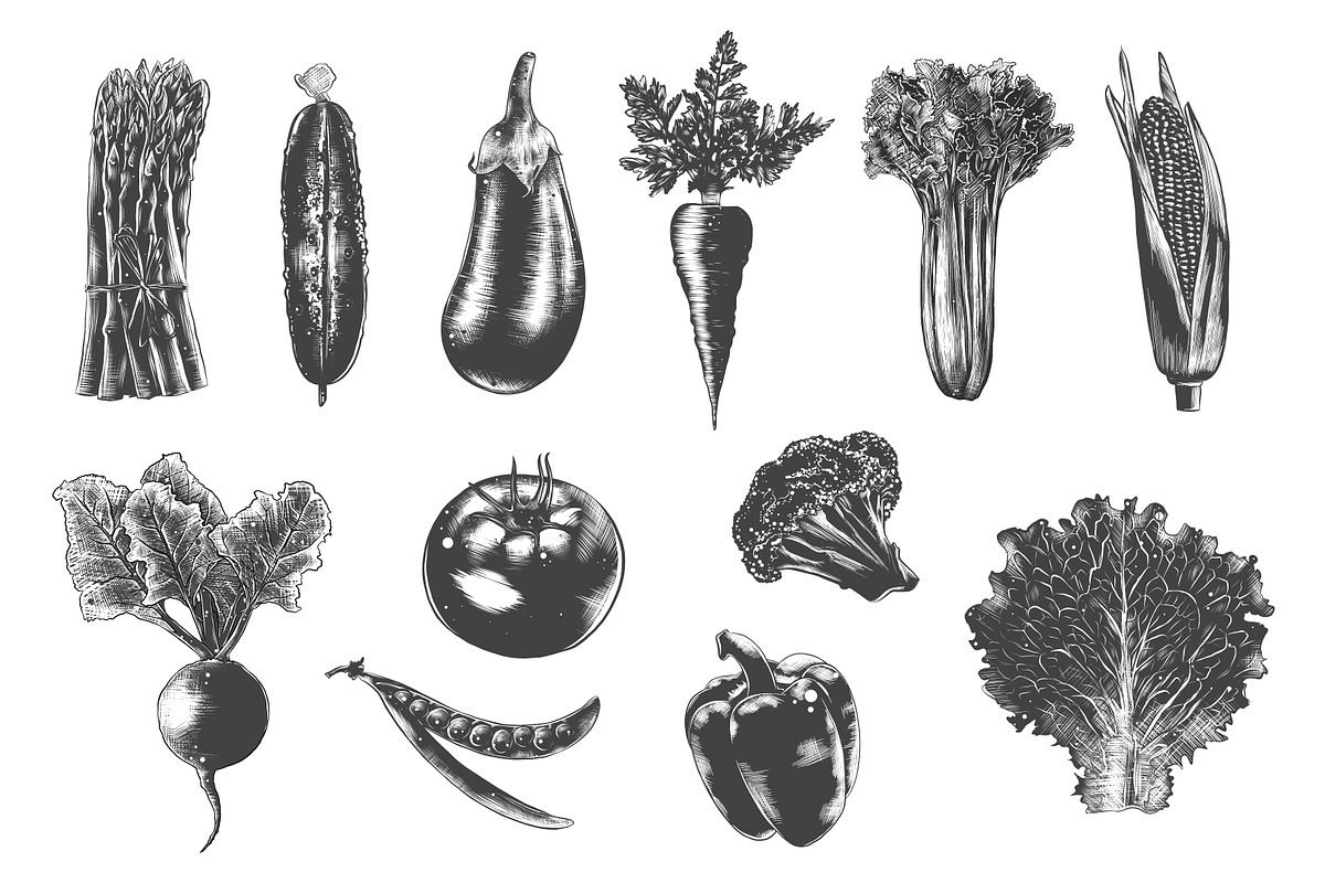 Collection of hand-drawn vegetables, a Food Illustration by Akimo Mia (Photo 2 of 5)