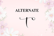 Beautiful | Script Font, a Handwritten Font by Scratchones (Thumbnail 8 of 9)