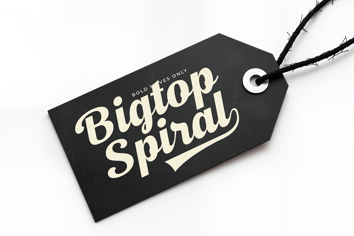 Magic Parade Modern Bold Script, a Script Font by timelesstype.co (Photo 14 of 20)