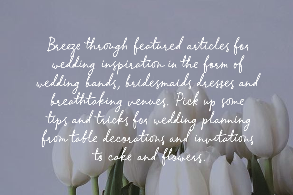 Lamelan, a Script Font by GlottaTypeface (Photo 3 of 8)