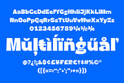 Riget Sans, a Sans Serif Font by TypeFaith Fonts (Thumbnail 11 of 12)