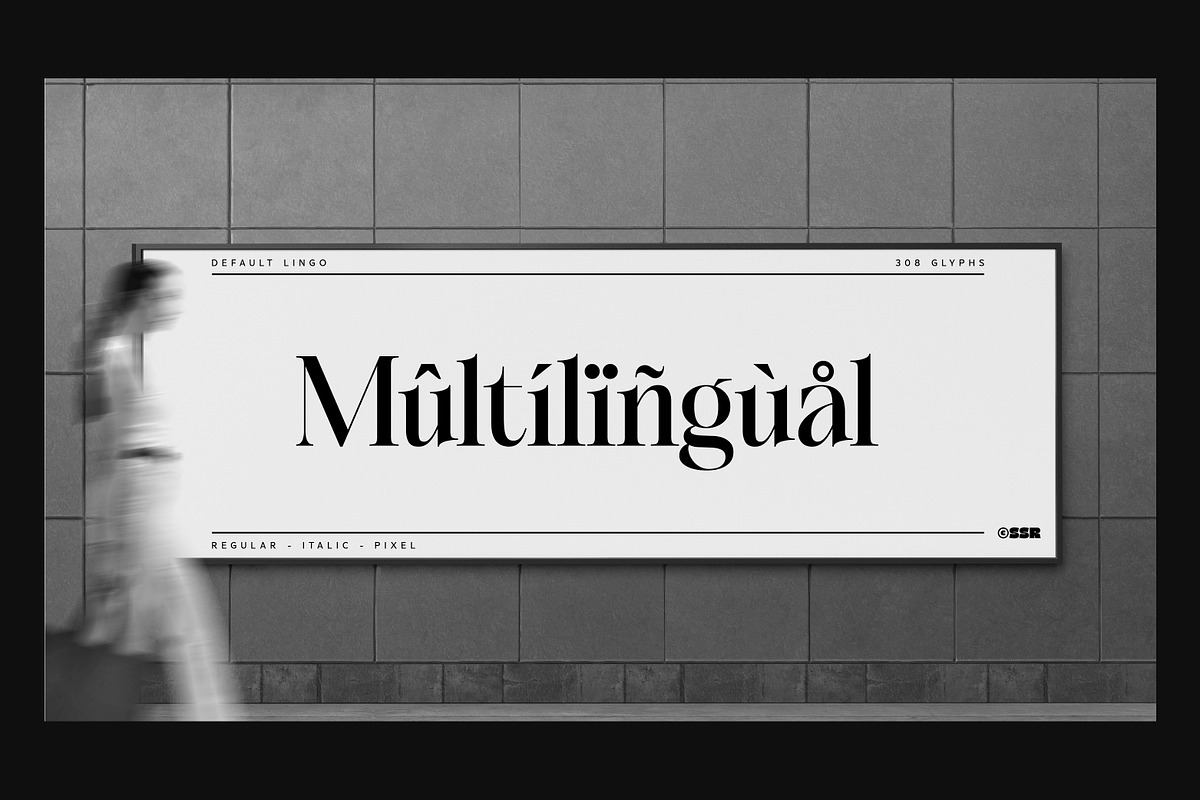 SS Default Lingo - Display Mix Font, a Serif Font by Typocracy Studio (Photo 12 of 12)