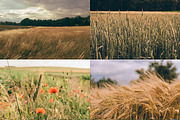 12 Photo Packs - 144 Nature Photos, a Nature Photo by PhotoMarket (Thumbnail 7 of 13)