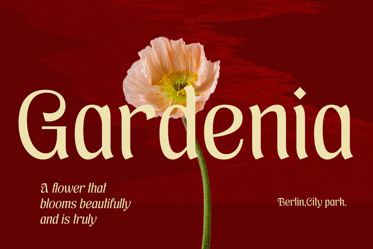 Brangkal, a Serif Font by Differentialtype (Photo 2 of 11)
