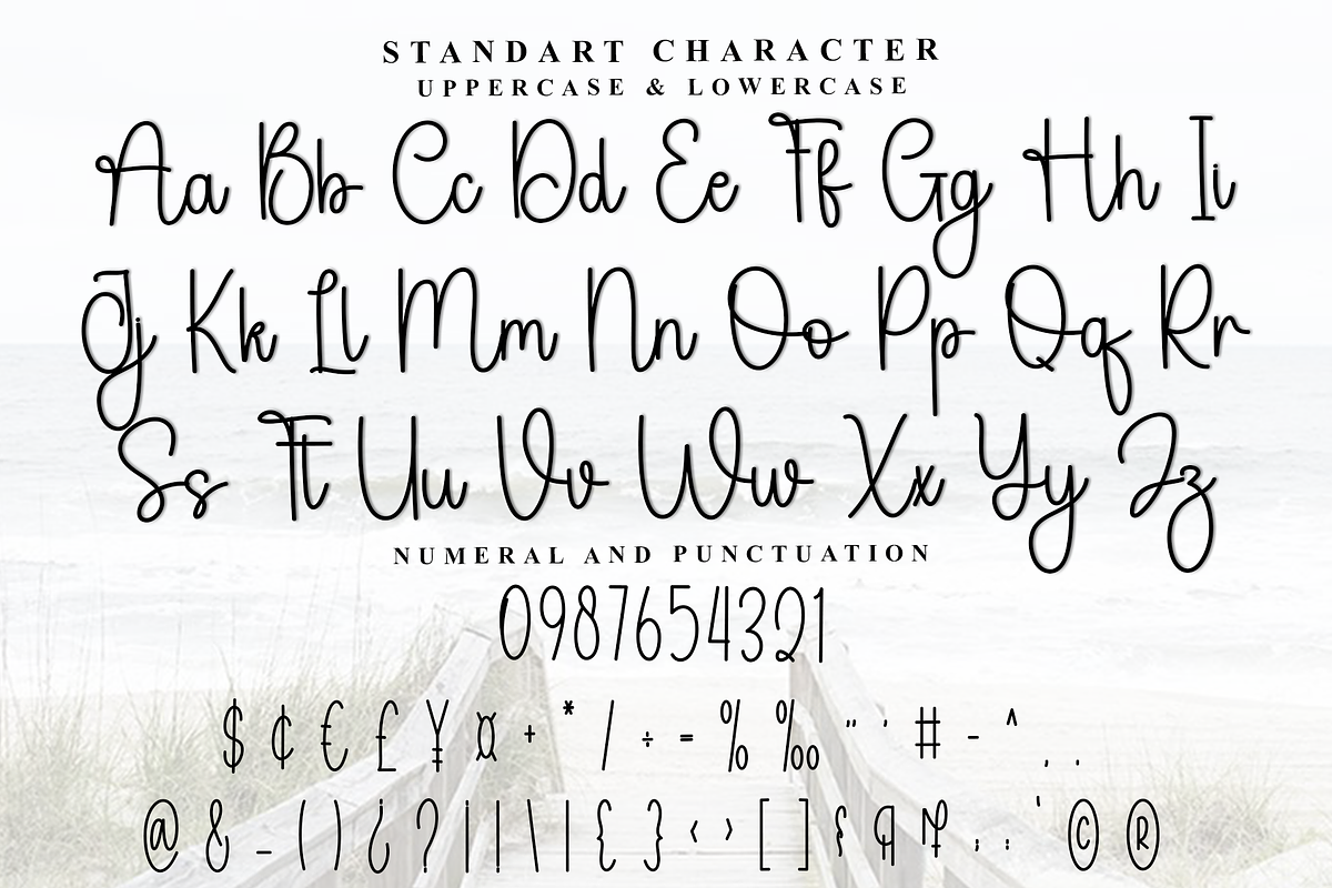 Diary Camellia, a Handwritten Font by FreshTypeINK (Photo 4 of 8)