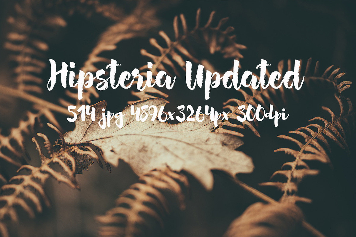 Hipsteria photo pack, a Templates & Theme by ApertureVintage (Photo 21 of 48)