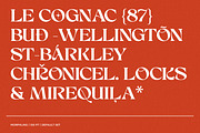 Morphling, a Serif Font by Glowtype (Thumbnail 3 of 12)