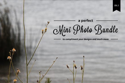 Nature - Mini Photo Bundle - No.1