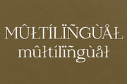 Leilani - Hand Drawn Elegant Serif, a Serif Font by Studio Aurora (Thumbnail 9 of 9)