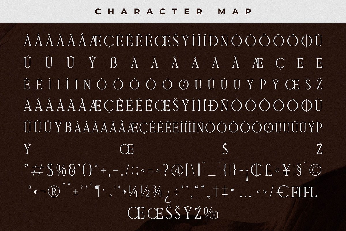 Morelan Modern Display Serif, a Serif Font by Storytype Studio (Photo 14 of 15)