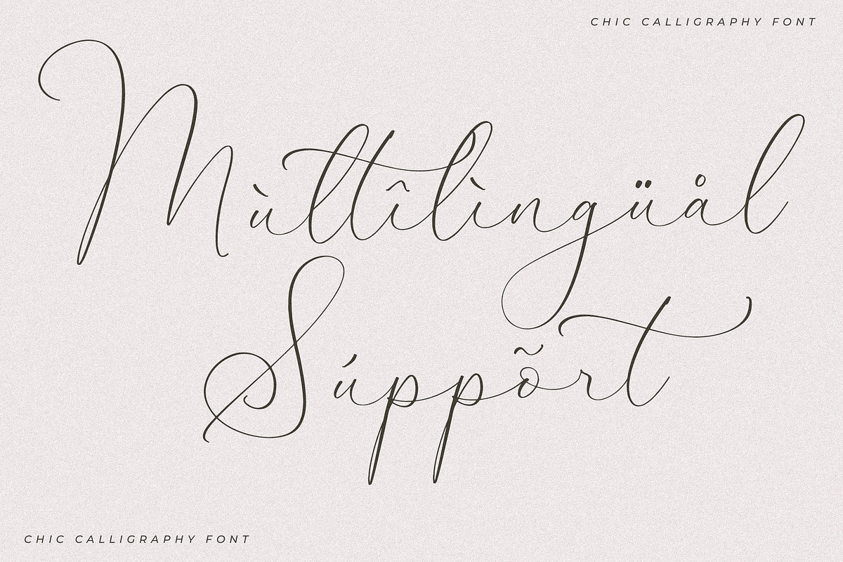 Senorytta Chic Calligraphy Font, a Script Font by Storytype Studio (Photo 12 of 15)