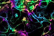 Acid psychedelic textures 50 Pack, a Texture Graphic by tkdesign (Thumbnail 28 of 50)