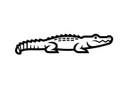 Crocodile Alligator Vector Bundle, an Illustration by jahid234 (Thumbnail 40 of 51)