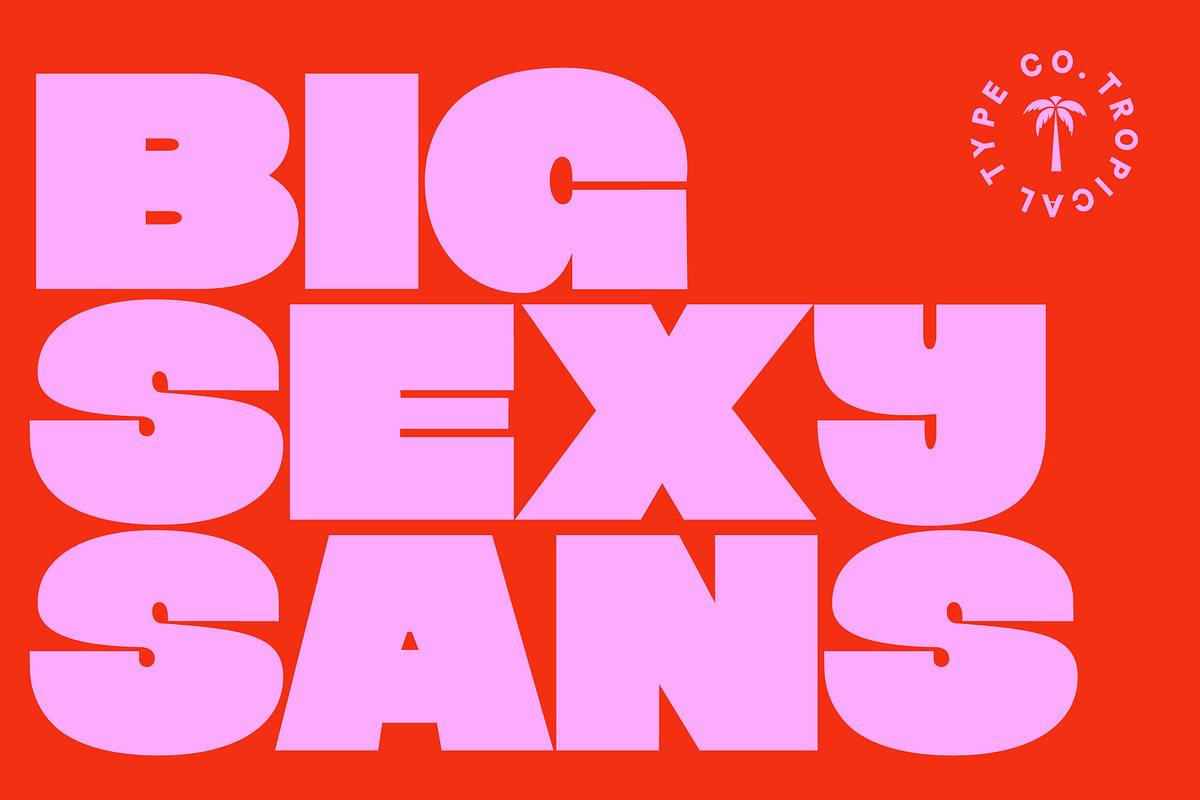 Big Sexy - Sans Serif, a Sans Serif Font by Tropical Type (Photo 1 of 13)