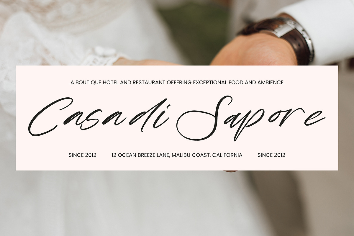 Rustic Diary Elegant Script Font, a Script Font by stylishtype.co (Photo 9 of 20)