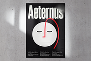 Aeternus Variable, a Sans Serif Font by Unio Designs (Thumbnail 5 of 12)