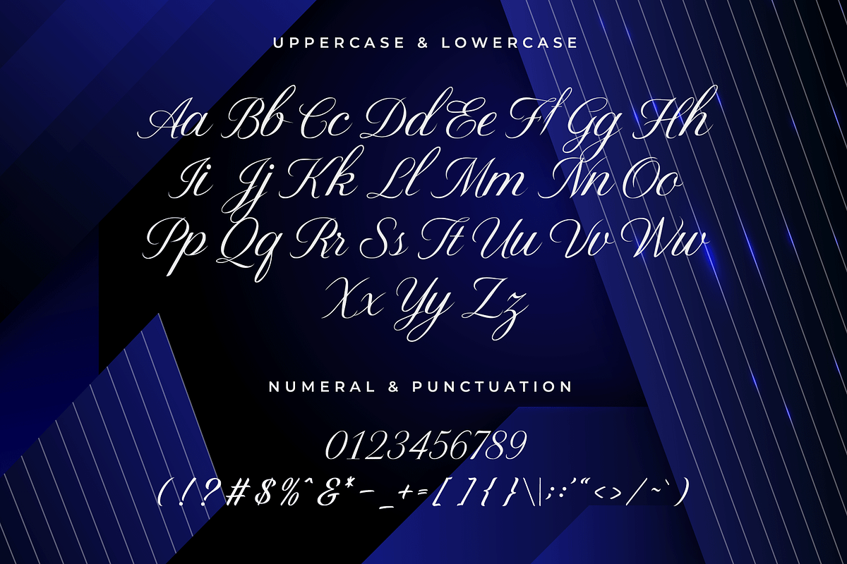 Elviona – A Modern Script Font, a Script Font by overlaytemplates (Photo 4 of 5)