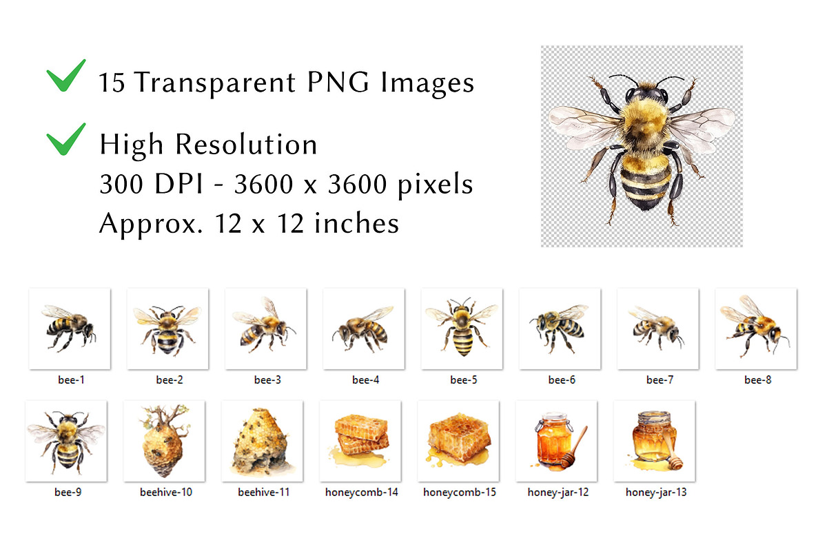 Honey Bee Watercolor Clipart, an Animal Illustration by milkghost (Photo 2 of 2)