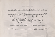 Sekar Wangi Casual Handwritten Font, a Font by gracetype_studio (Thumbnail 12 of 12)