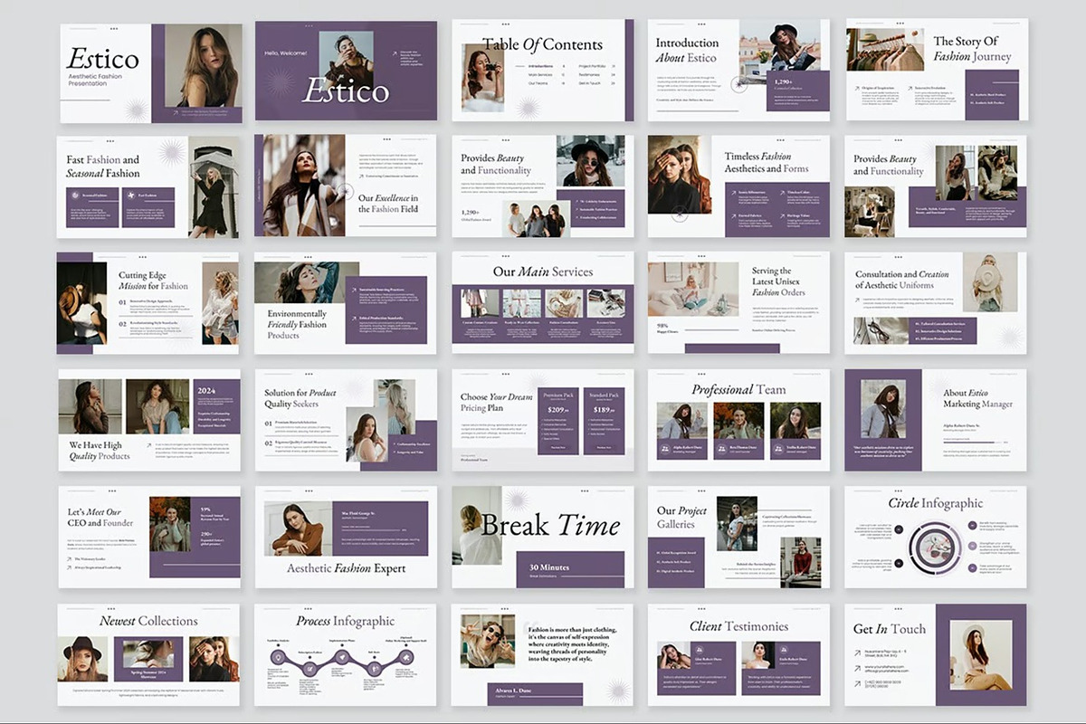 Aesthetic Fashion Powerpoint preview 6