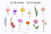 Watercolor Birth Month Flowers, an Illustration by lilisprints (Thumbnail 2 of 5)