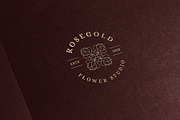 36 Elegant Logo Templates | Canva, a Branding & Logo Template by Vasya Kobelev (Thumbnail 10 of 10)