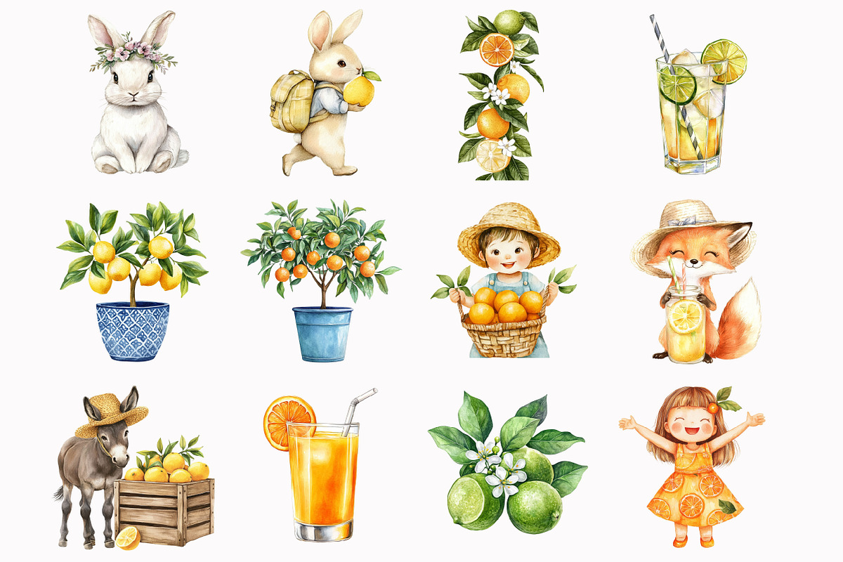 Citrus Fruit Clipart, an Illustration by Design Market (Photo 3 of 5)