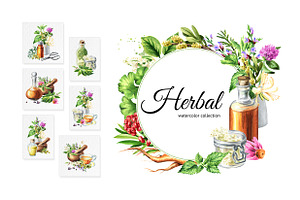 Herbal