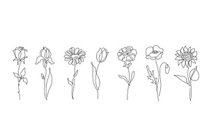 Flowers Vector Set Illustration In