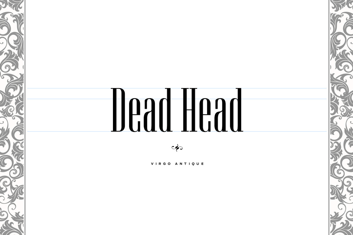 Virgo Antique Display, a Serif Font by Vintage Type Company (Photo 11 of 15)