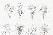 Gypsophila clipart, Baby Breath PNG, a Decorative Illustration by Invite to Clipart (Thumbnail 3 of 7)