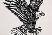36 Eagle Vector Illustrations, an Animal Illustration by Alternate Studio (Thumbnail 2 of 7)