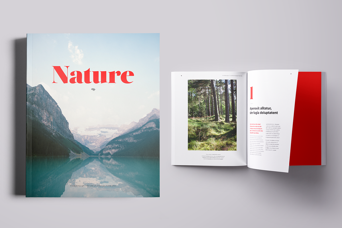 Book Template, a Templates & Theme by StockInDesign (Photo 1 of 11)
