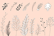 40 plants and leaves elements, an Illustration by Anna's Creative Store (Thumbnail 2 of 5)
