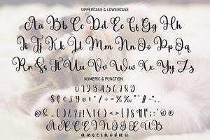 Billi Script Font