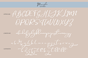 Marisha, a Script Font by Larin Type Co. (Thumbnail 7 of 8)