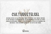 Sale - Batavia Script & Sans, a Script Font by Monoco Type Foundry (Thumbnail 6 of 11)