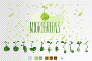 Microgreens Vector Set, an Object Illustration by ElenaKovalyova (Thumbnail 4 of 7)