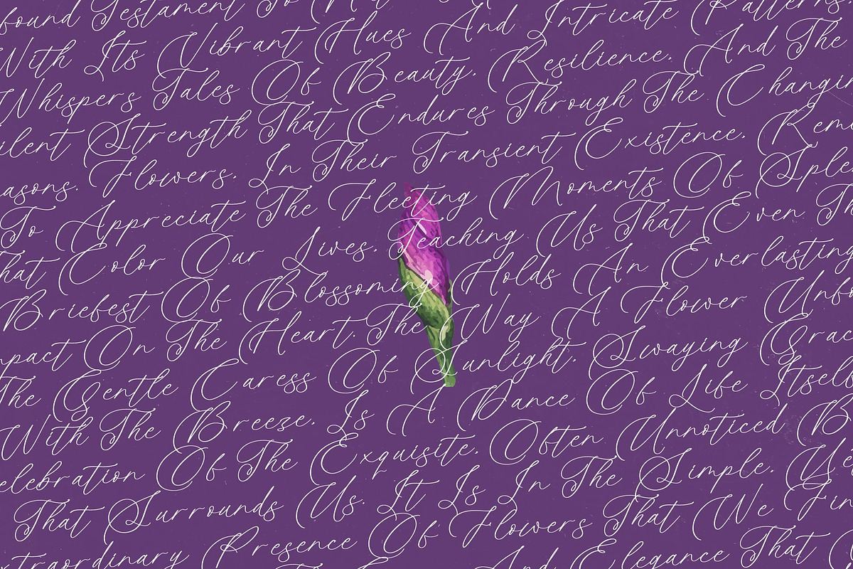 Betany Katepia Beauty Calligraphy, a Script Font by stylishtype.co (Photo 15 of 20)
