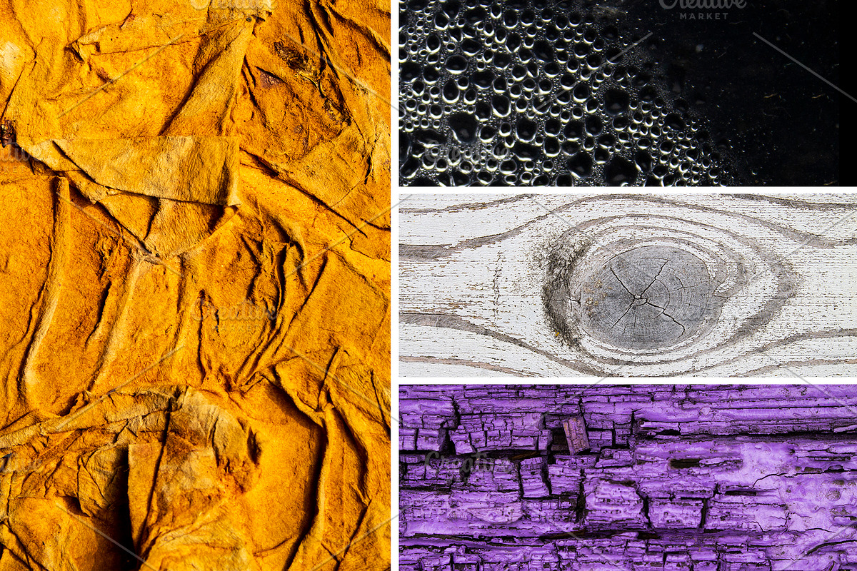 Macro Abstract Photo Bundle, an Abstract Photo by Noires (Photo 6 of 8)