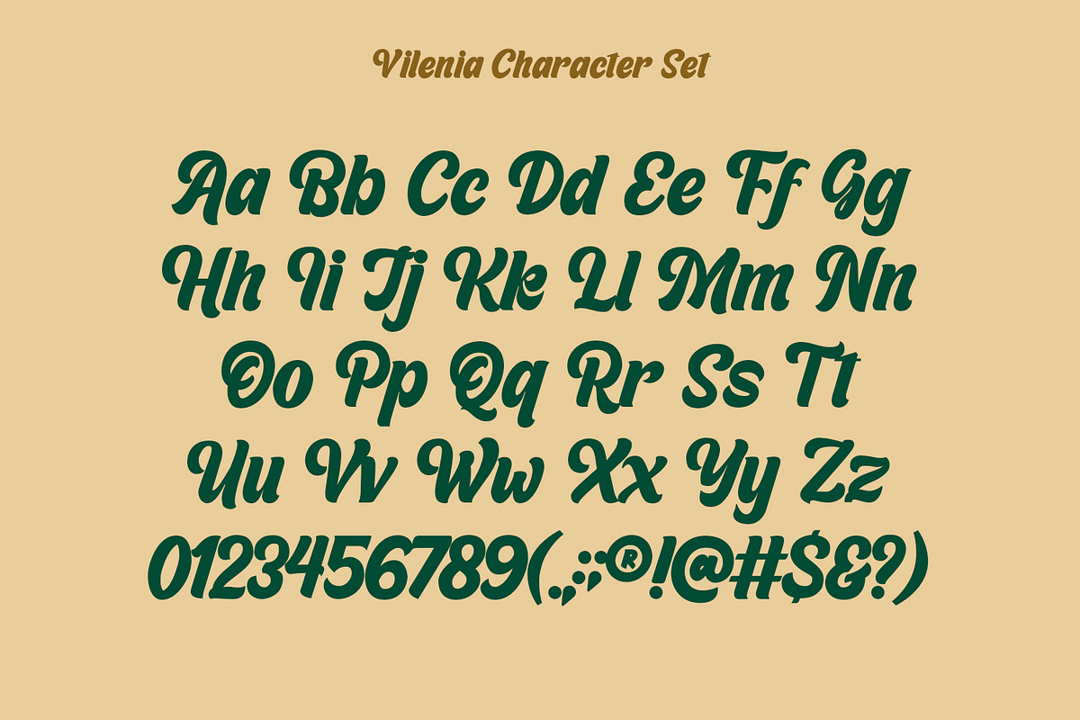 Vilenia, a Script Font by Nathatype (Photo 9 of 11)