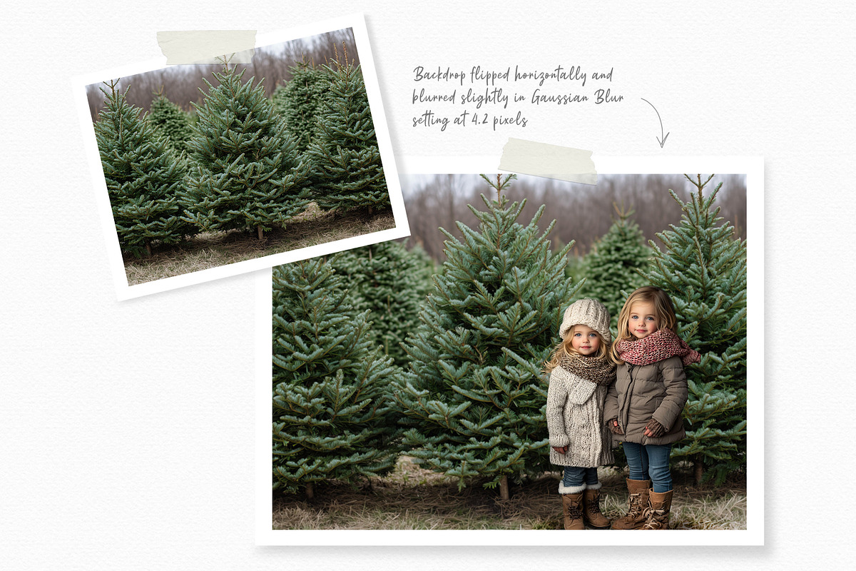 Christmas Farm Backdrops, a Holiday Photo by rileyBgraphics (Photo 4 of 6)